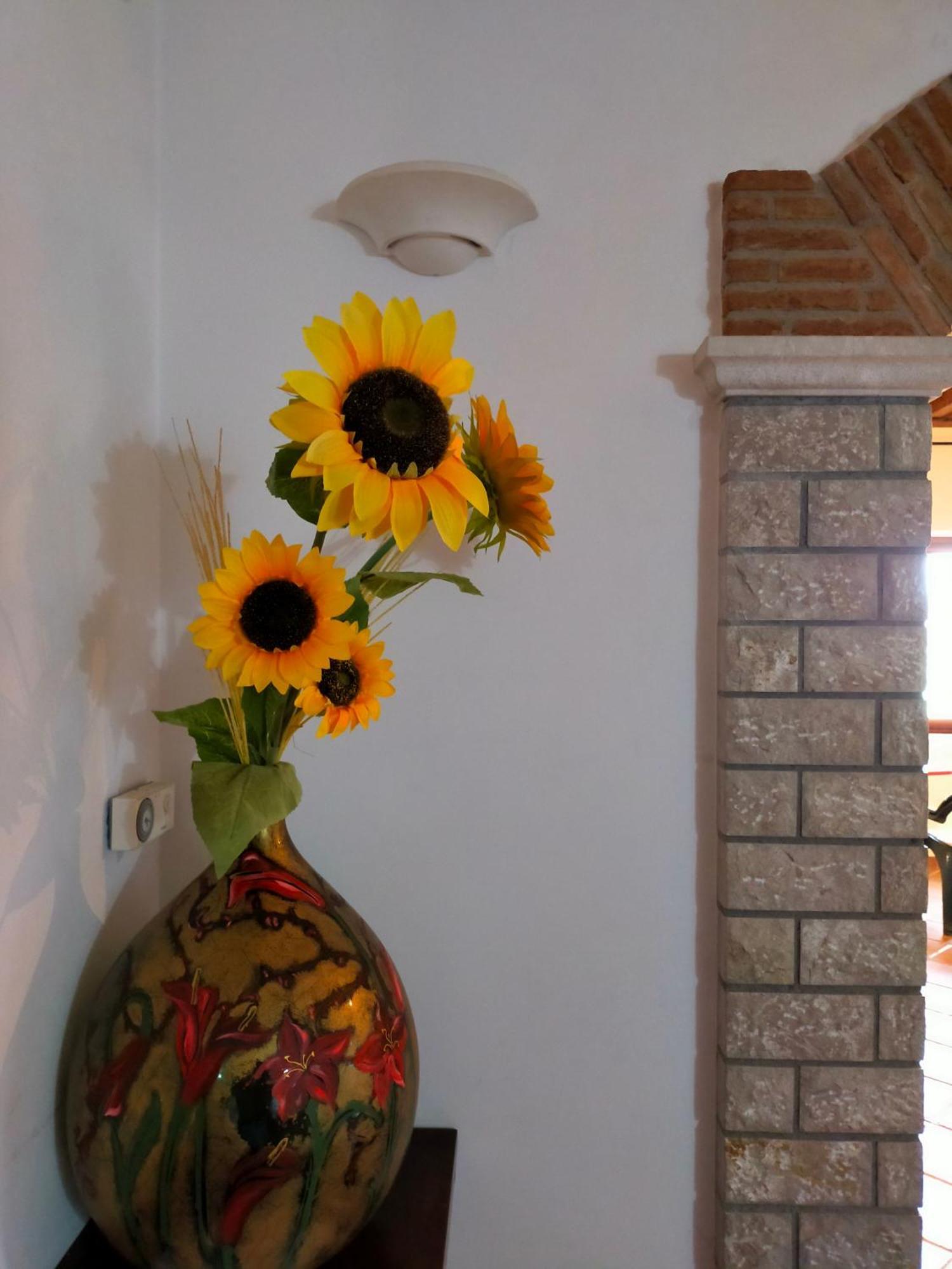 Bed and Breakfast Al Boschetto Melizzano Esterno foto